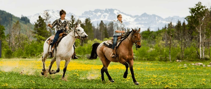 Confident plus-size woman riding Tamworth a horse through a field with a smile on her face.